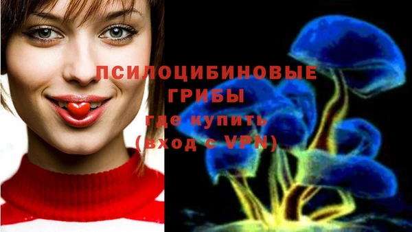 таблы Медвежьегорск