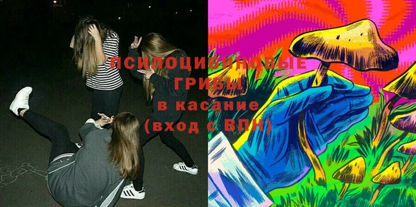 ешки Медногорск