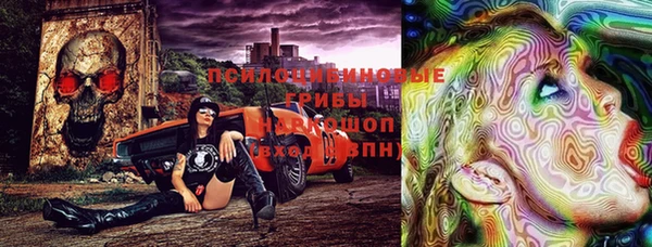 ешки Медногорск
