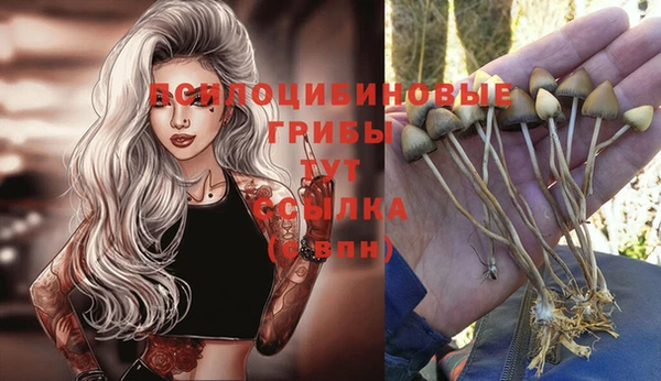 ешки Медногорск