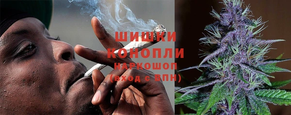 ешки Медногорск