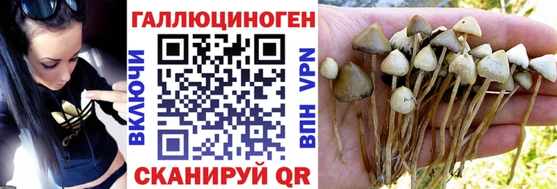 Купить  Короча  Псилоцибиновые грибы мухоморы 